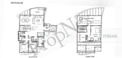 The Solitaire (D10), Condominium #469756541